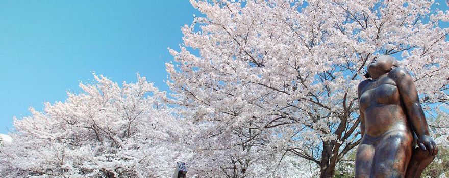 The Keihanna Commemorative Park