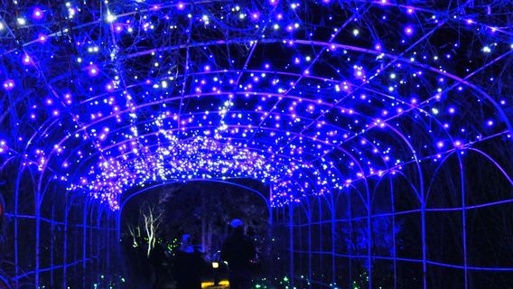 ルイス・ジンター・ボタニカル・ガーデン