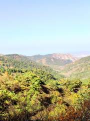 진롱쓰 국가삼림공원