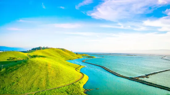 Coyote Hills Regional Park