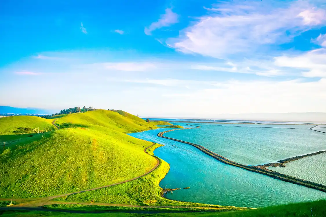 Hotels near Coyote Hills Regional Park