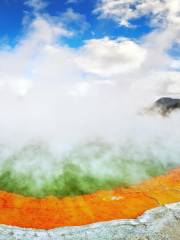 Champagne Pool