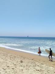 Bolsa Chica State Beach