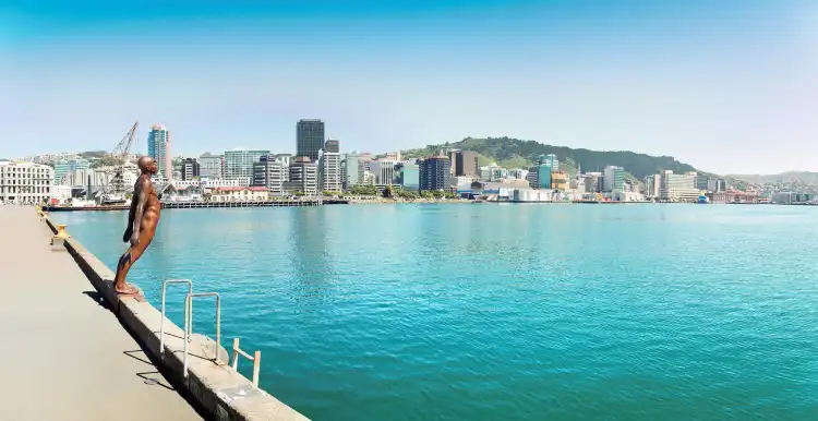 Napier