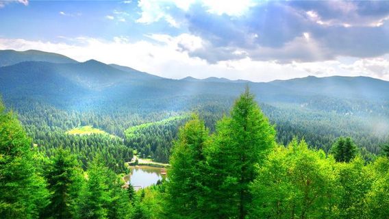 Yeliguan Forest Park