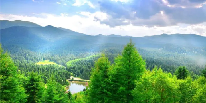 冶力關國家森林公園