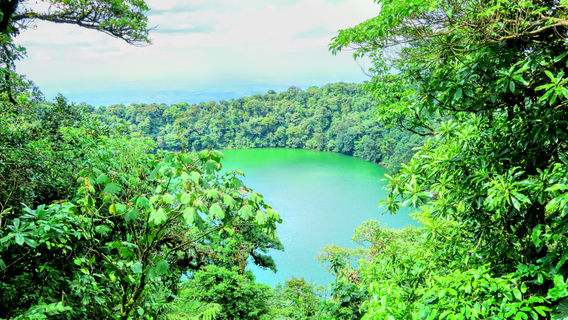 เซอร์โรชาโตเอเอ็นซีปาร์คแอนด์การ์เดน