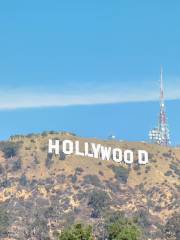 Голливуд Хилс