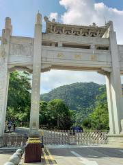 廣東梧桐山國家森林公園