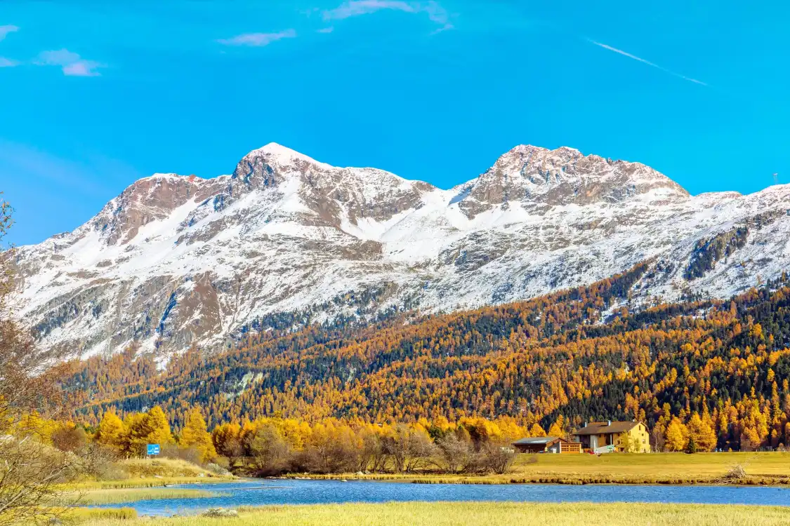 Hotels near Corvatsch