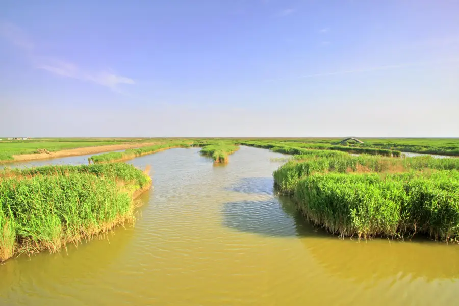 Caofeidian Wetland Park