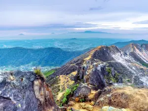 시바약 산
