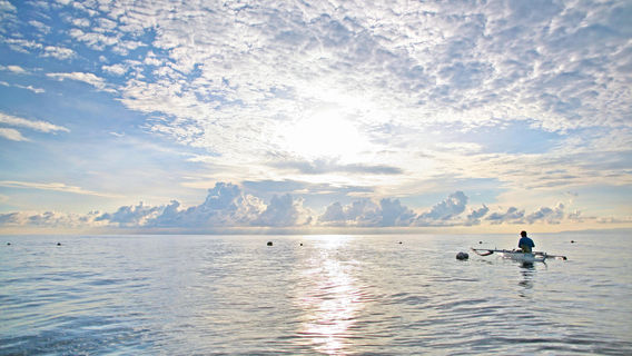 Oslob