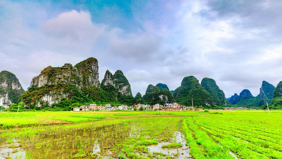 Zhongshanshili Gallery