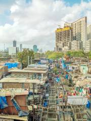 Dhobi Ghat