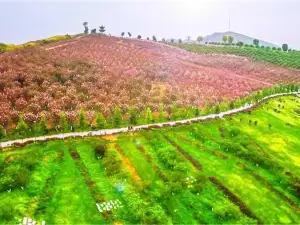 Yihuiyuan Dujia Sceneic Area