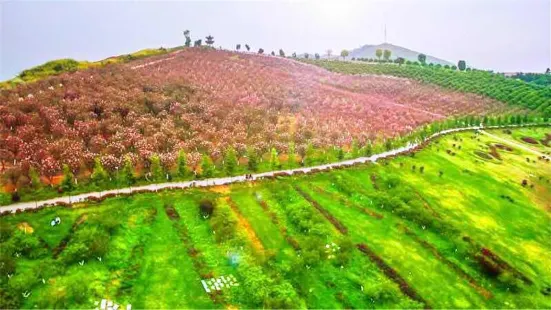 Yihuiyuan Dujia Sceneic Area