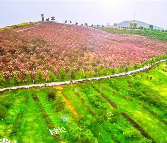 Shaodong