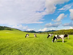 三寰牧場