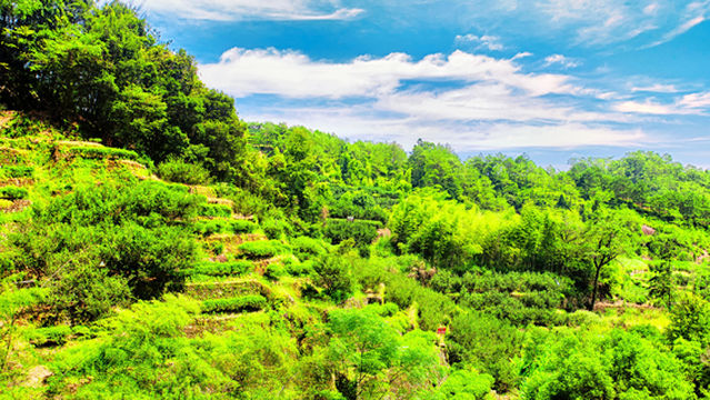 Пейзаж Дай Хуан