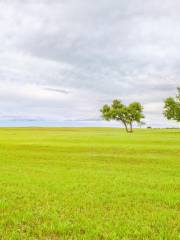 Zhurihe Grassland Tourist Area