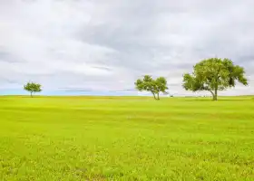 Zhurihe Grassland Tourist Area