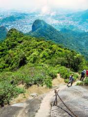 Parc national de la Tijuca