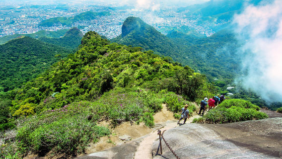 Tijuca National Park