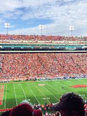 Donald W. Reynolds Razorback Stadium