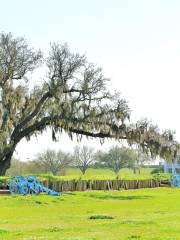 Parc historique national et réserve Jean Lafitte