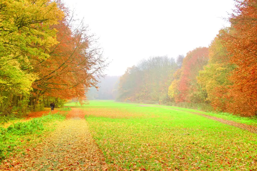 Amsterdamse Bos