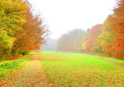 Amsterdamse Bos Fietsverhuur