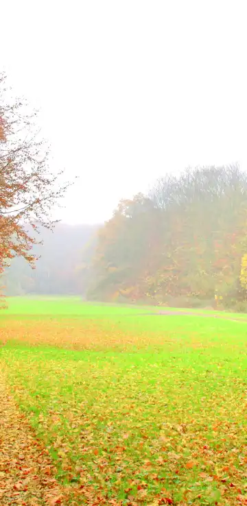 Hotels near Amsterdamse Bos