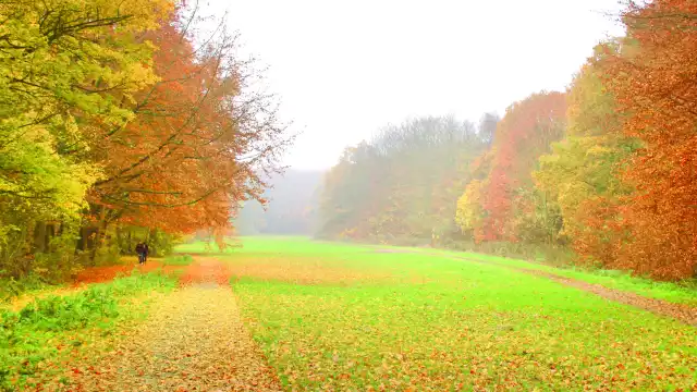 アムステルダムセ･ボス周辺のホテル