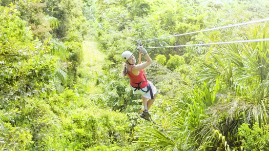 Flying Gibbons' Jungle Leap