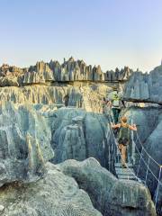 Réserve naturelle intégrale du Tsingy de Bemaraha