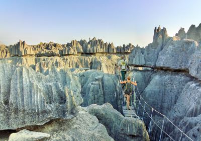 Réserve naturelle intégrale du Tsingy de Bemaraha