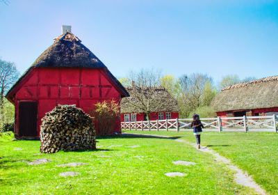 The Funen Village