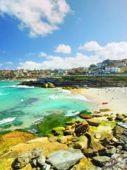 Tamarama Beach