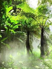 Nanjing Paradise Rainforest