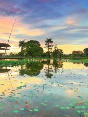 Taman Tasik Cyberjaya/Cyberjaya Lake Gardens