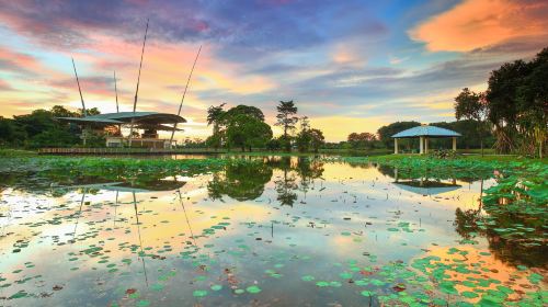 Taman Tasik Cyberjaya/Cyberjaya Lake Gardens