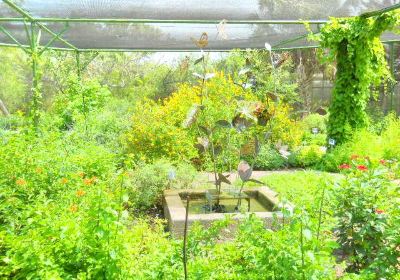 Centro de la Naturaleza y Jardín Botánico de Corpus Christi