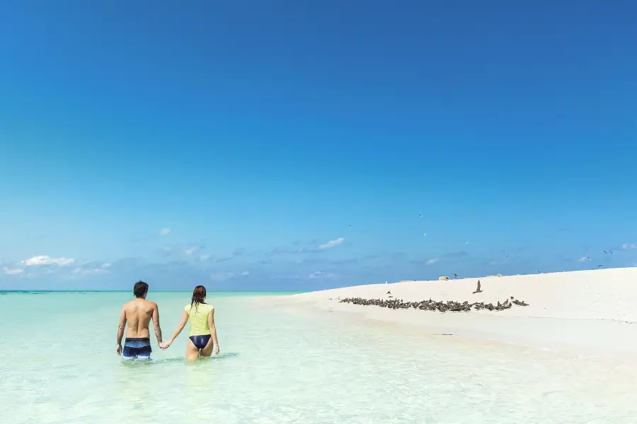 Michaelmas Cay