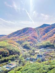 Dalian Yinshi Beach National Forest Park