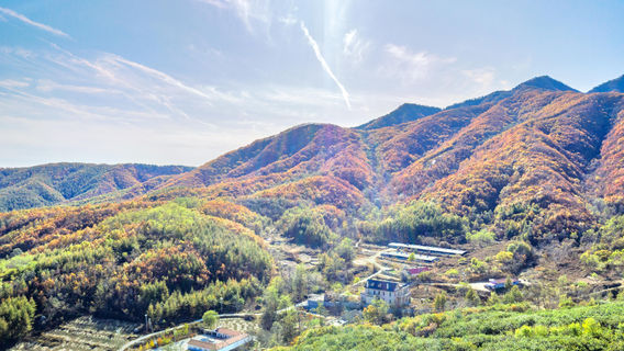 Dalian Yinshi Beach National Forest Park