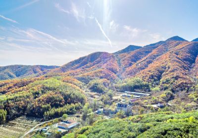 Dalian Yinshi Beach National Forest Park