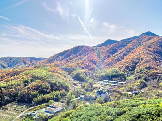 Dalian Yinshi Beach National Forest Park