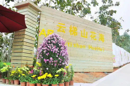 鄰近雲梯山花海的酒店