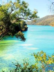 Ku-ring-gai Chase National Park